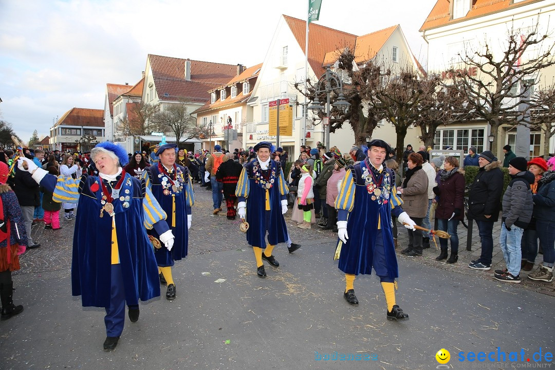 Grosser Narrensprung: Langenargen am Bodensee, 19.01.2020