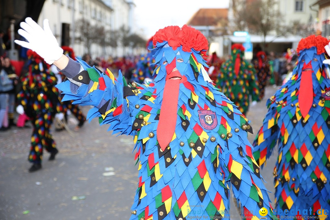 Grosser Narrensprung: Langenargen am Bodensee, 19.01.2020