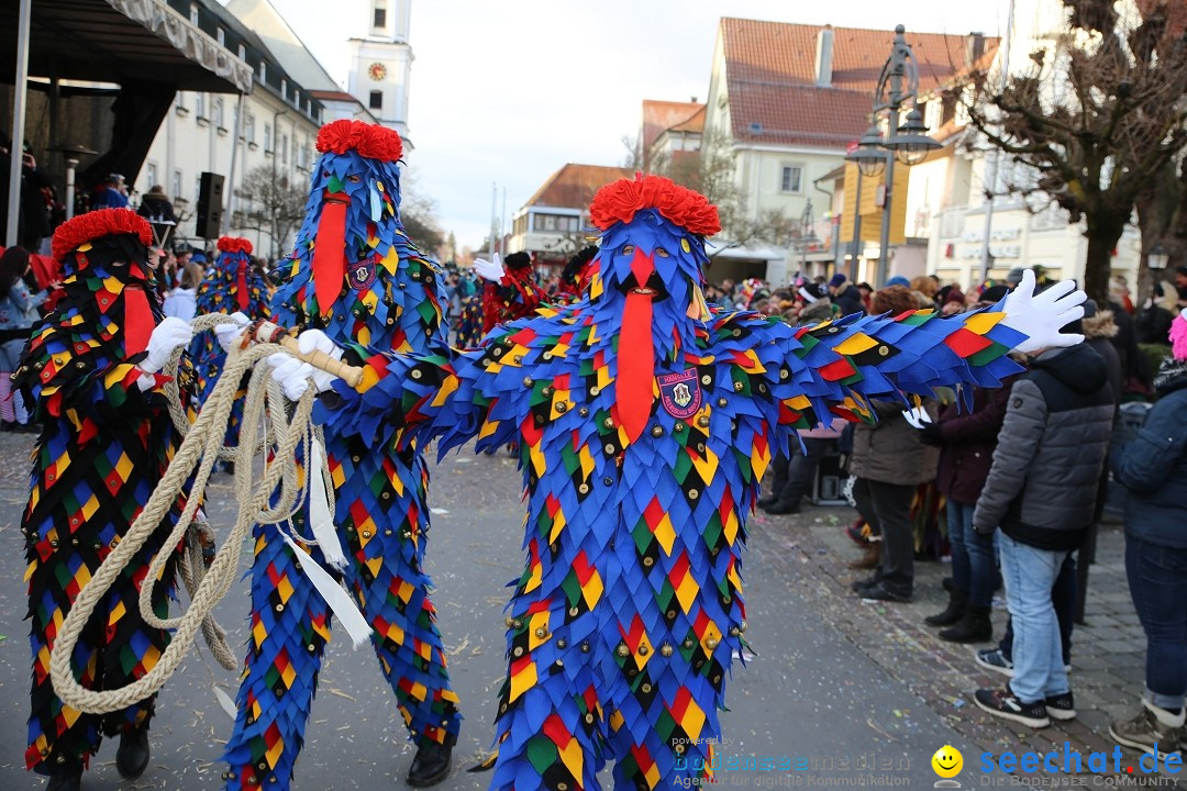 Grosser Narrensprung: Langenargen am Bodensee, 19.01.2020