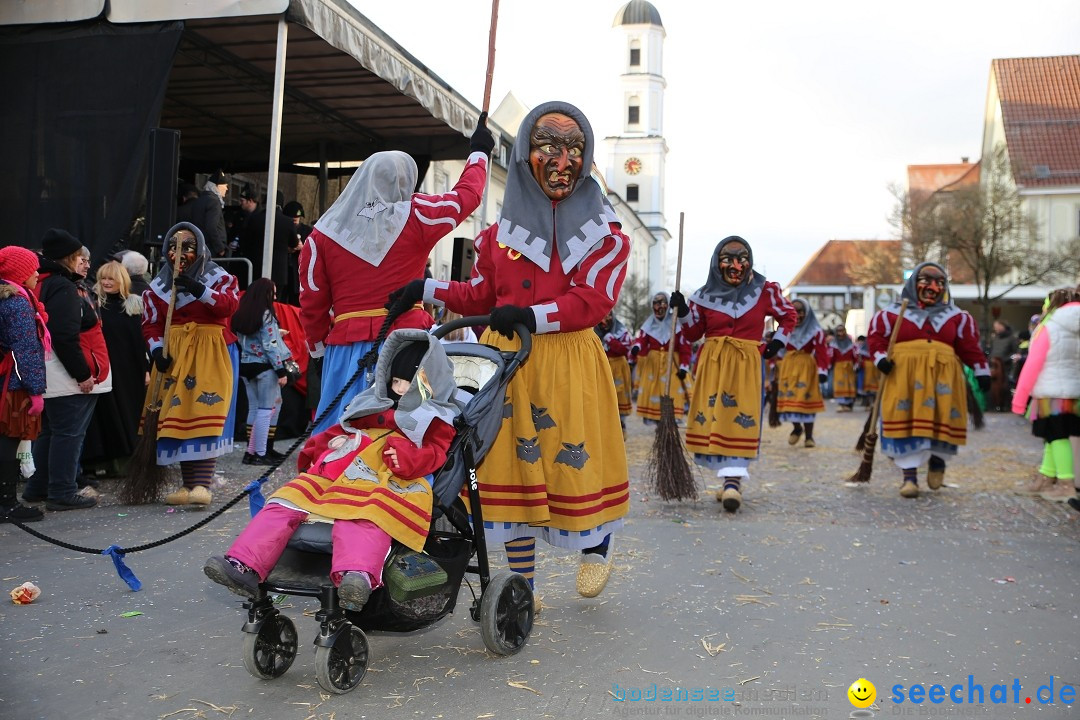 Grosser Narrensprung: Langenargen am Bodensee, 19.01.2020