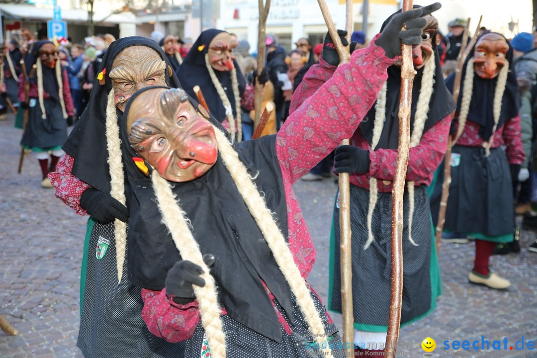 Grosser Narrensprung: Langenargen am Bodensee, 19.01.2020