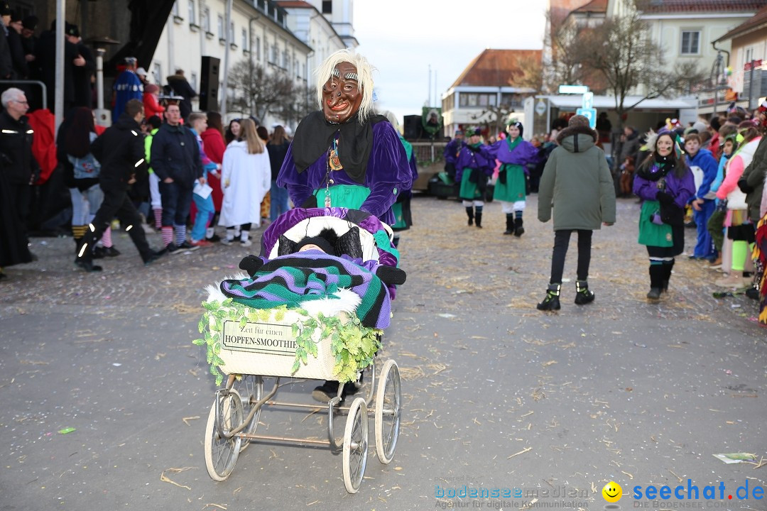 Grosser Narrensprung: Langenargen am Bodensee, 19.01.2020