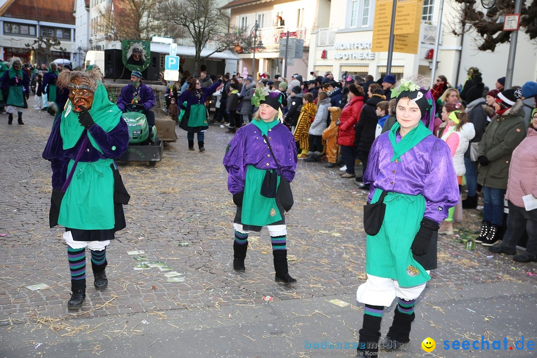 Grosser Narrensprung: Langenargen am Bodensee, 19.01.2020