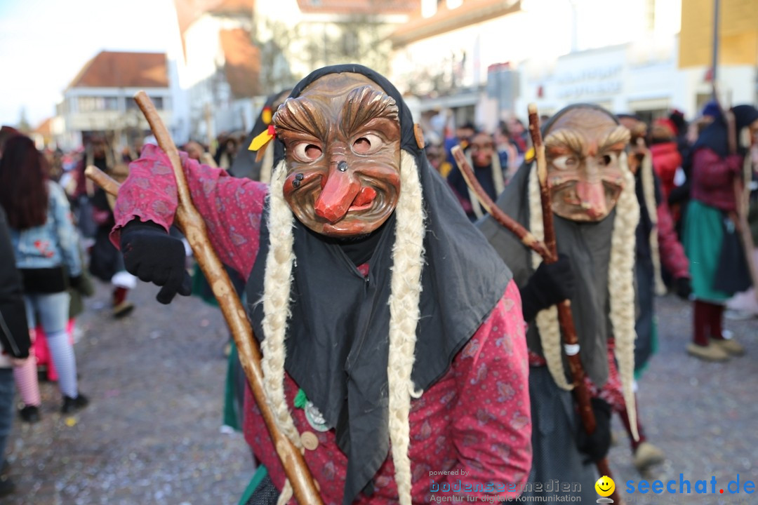 Grosser Narrensprung: Langenargen am Bodensee, 19.01.2020