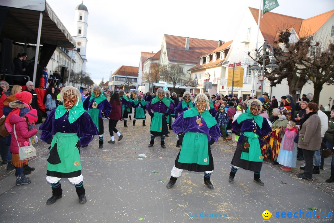 Grosser Narrensprung: Langenargen am Bodensee, 19.01.2020