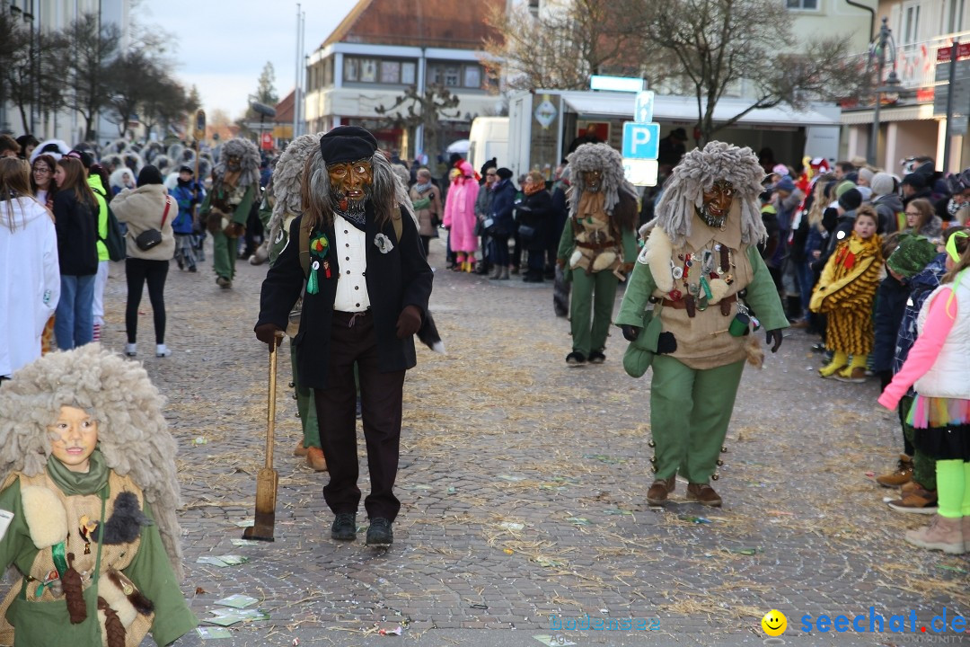 Grosser Narrensprung: Langenargen am Bodensee, 19.01.2020