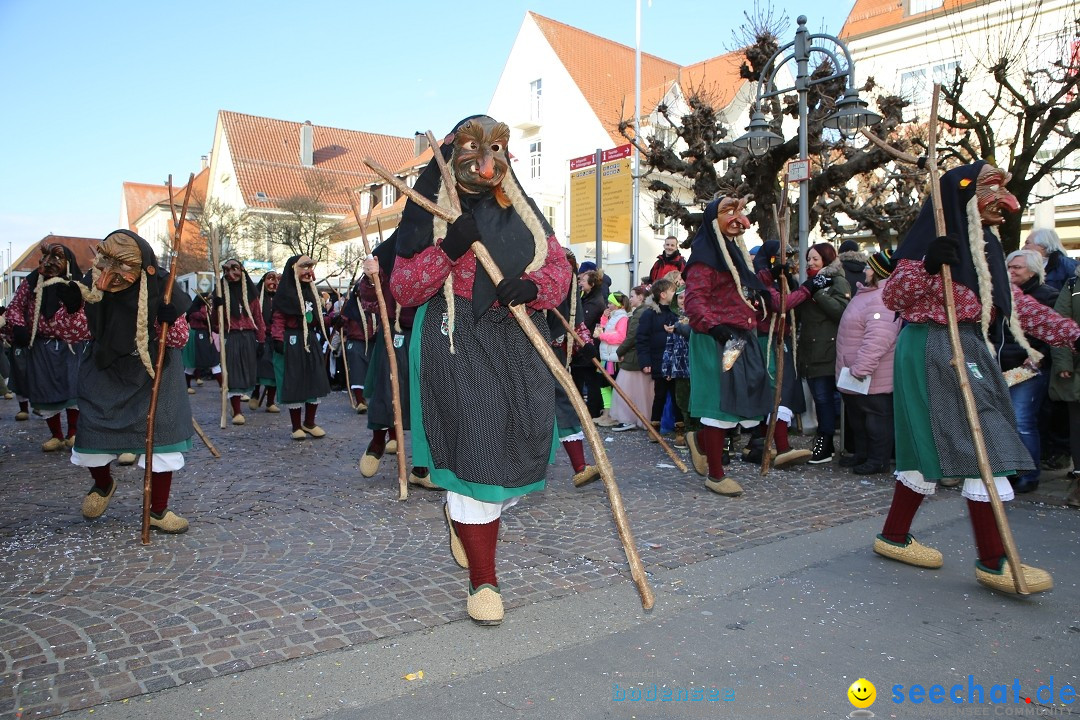 Grosser Narrensprung: Langenargen am Bodensee, 19.01.2020