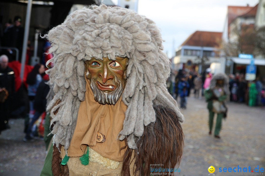 Grosser Narrensprung: Langenargen am Bodensee, 19.01.2020