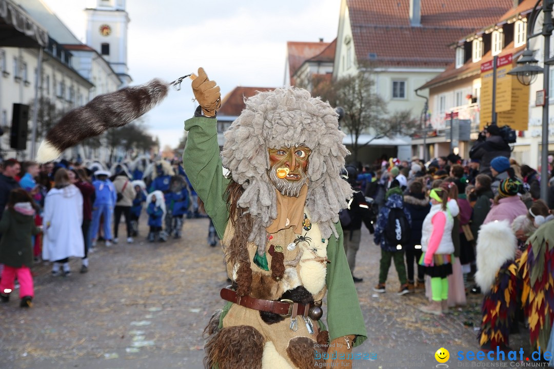 Grosser Narrensprung: Langenargen am Bodensee, 19.01.2020