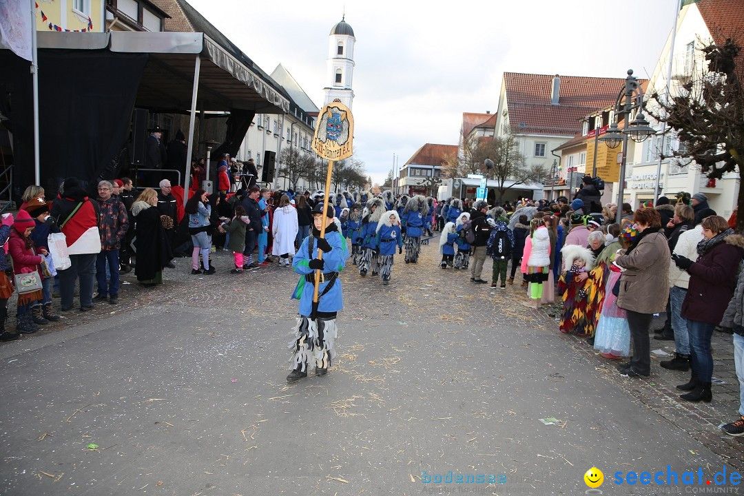 Grosser Narrensprung: Langenargen am Bodensee, 19.01.2020