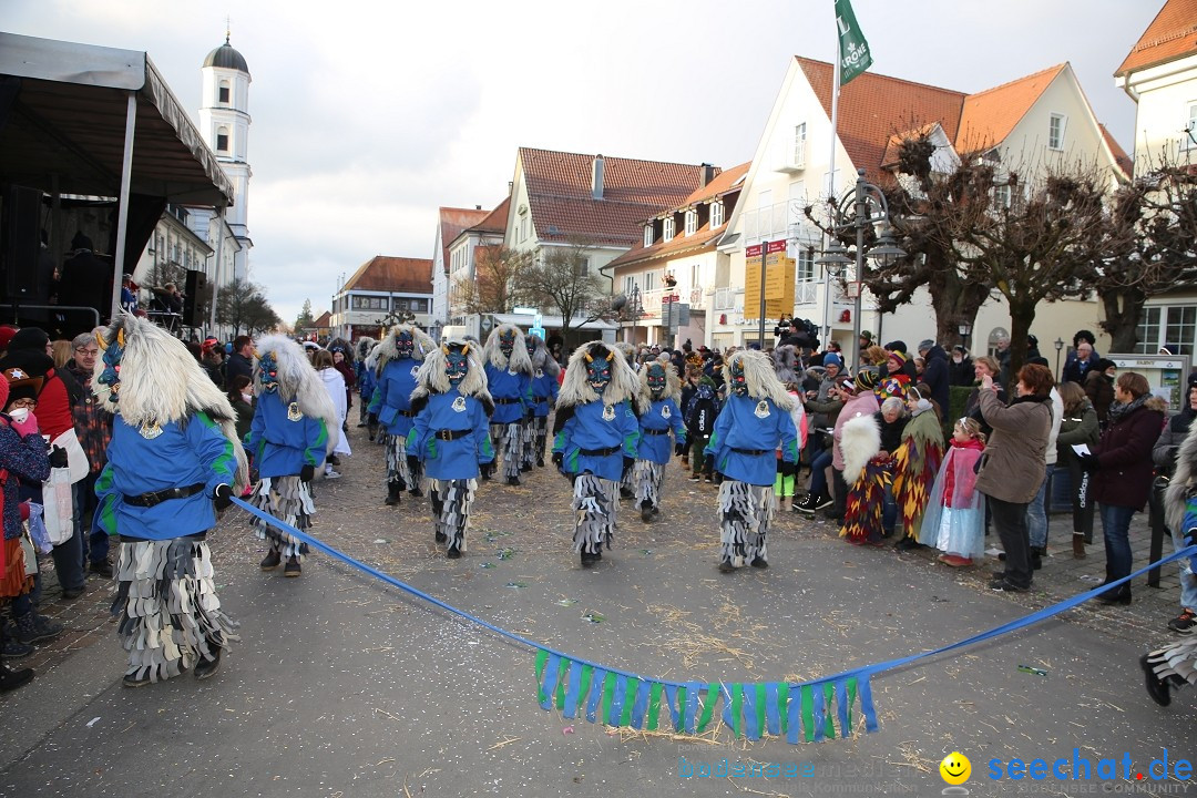 Grosser Narrensprung: Langenargen am Bodensee, 19.01.2020