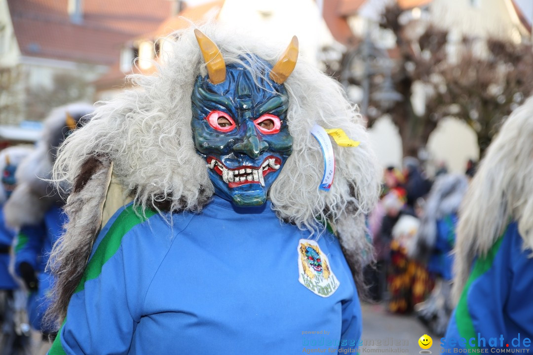 Grosser Narrensprung: Langenargen am Bodensee, 19.01.2020