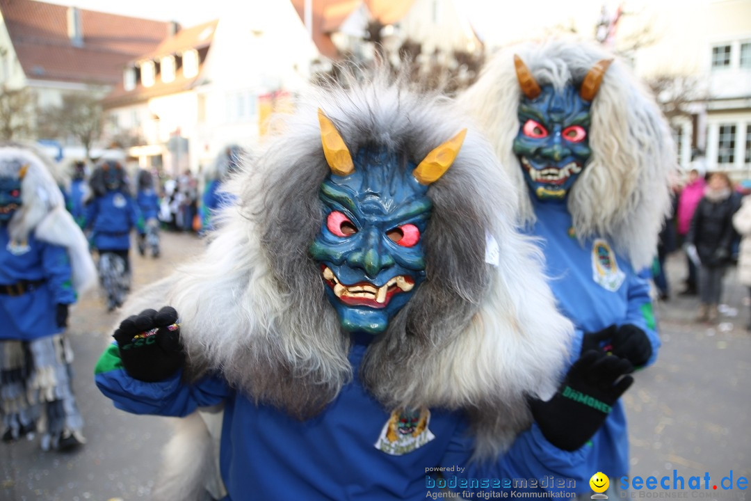 Grosser Narrensprung: Langenargen am Bodensee, 19.01.2020