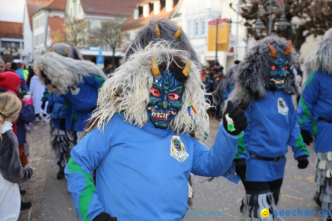 Grosser Narrensprung: Langenargen am Bodensee, 19.01.2020