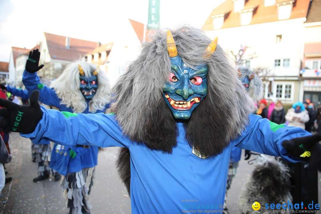 Grosser Narrensprung: Langenargen am Bodensee, 19.01.2020