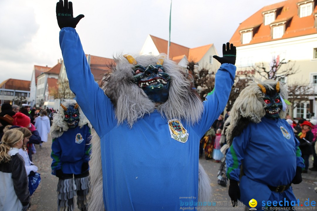 Grosser Narrensprung: Langenargen am Bodensee, 19.01.2020