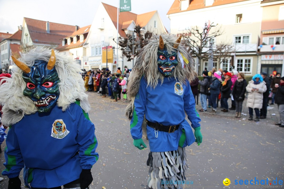 Grosser Narrensprung: Langenargen am Bodensee, 19.01.2020