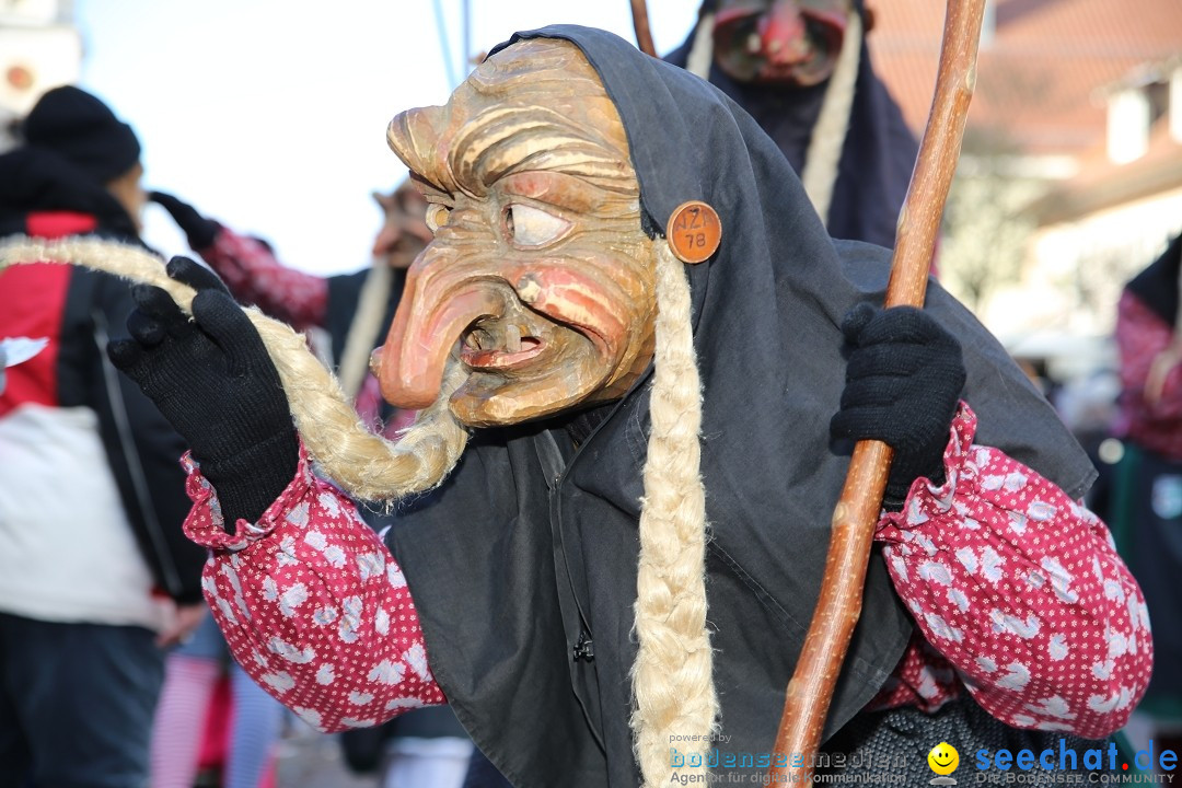 Grosser Narrensprung: Langenargen am Bodensee, 19.01.2020