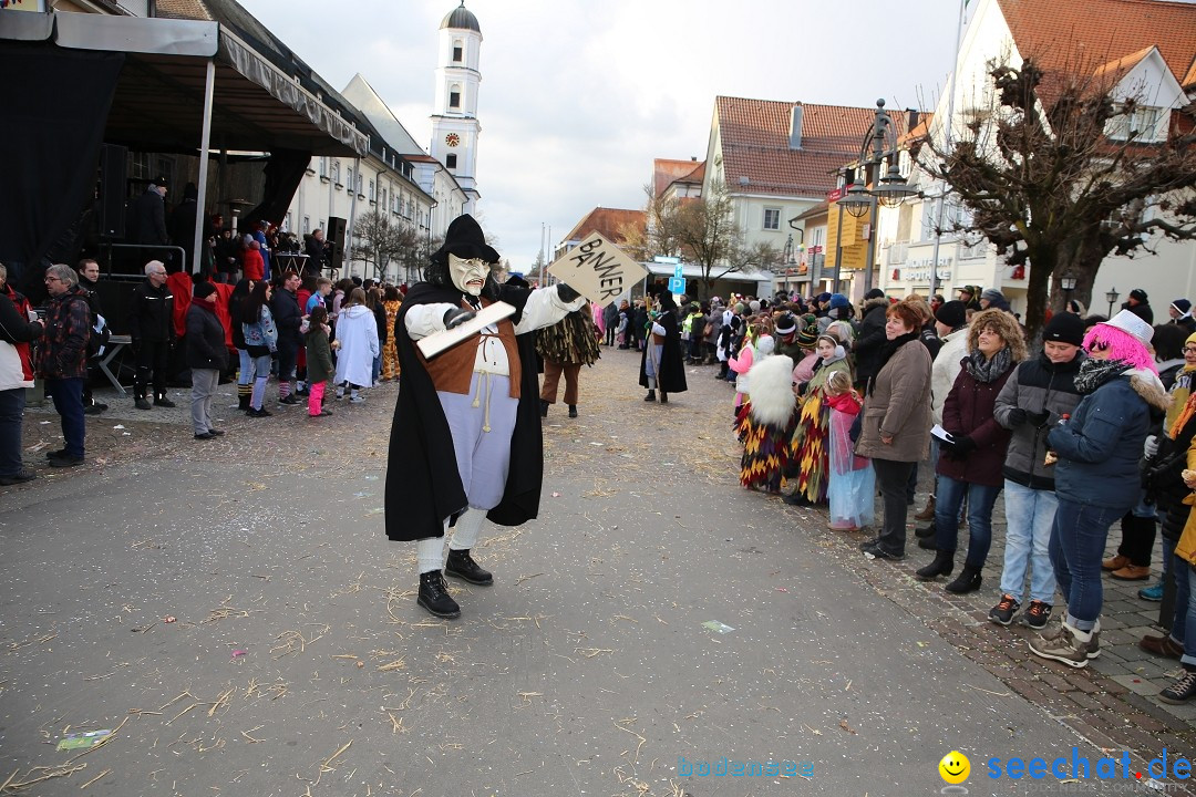 Grosser Narrensprung: Langenargen am Bodensee, 19.01.2020