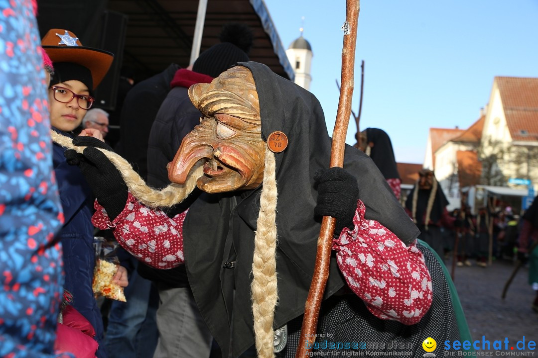 Grosser Narrensprung: Langenargen am Bodensee, 19.01.2020