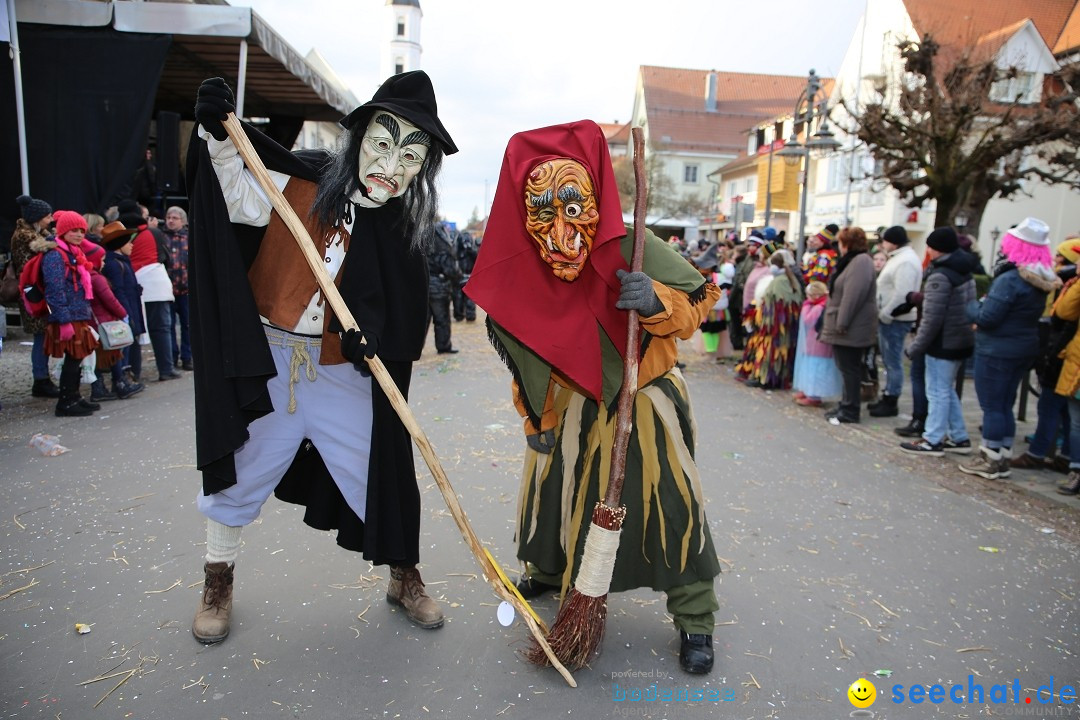 Grosser Narrensprung: Langenargen am Bodensee, 19.01.2020