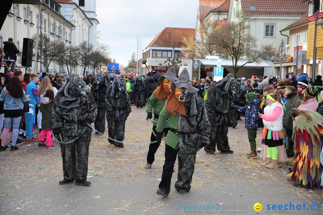 Grosser Narrensprung: Langenargen am Bodensee, 19.01.2020