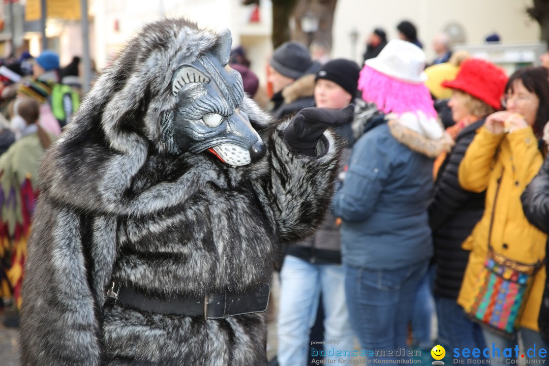 Grosser Narrensprung: Langenargen am Bodensee, 19.01.2020