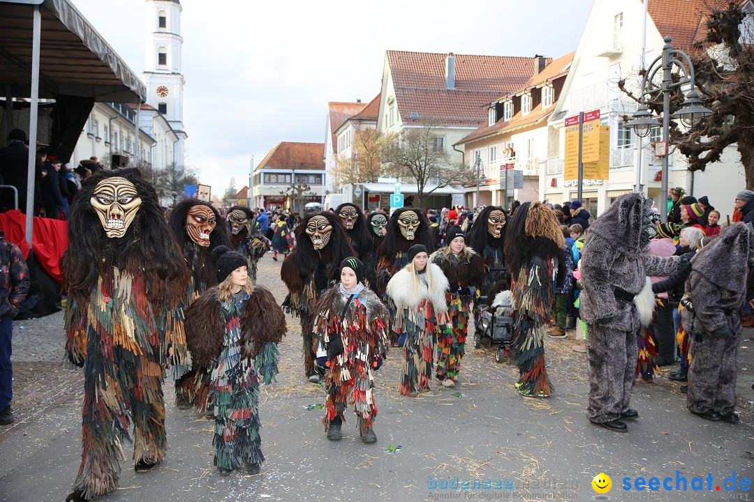 Grosser Narrensprung: Langenargen am Bodensee, 19.01.2020