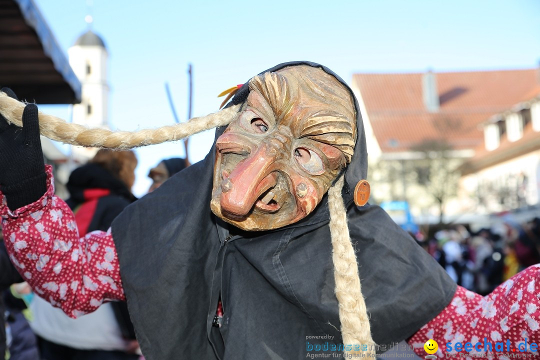 Grosser Narrensprung: Langenargen am Bodensee, 19.01.2020