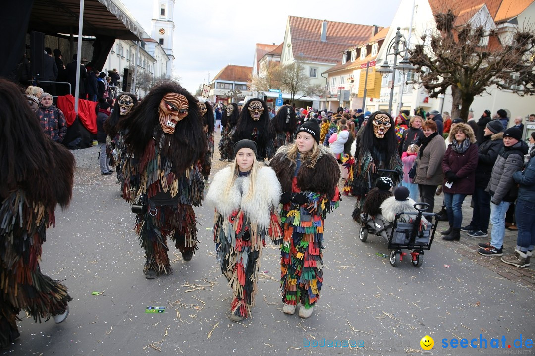 Grosser Narrensprung: Langenargen am Bodensee, 19.01.2020