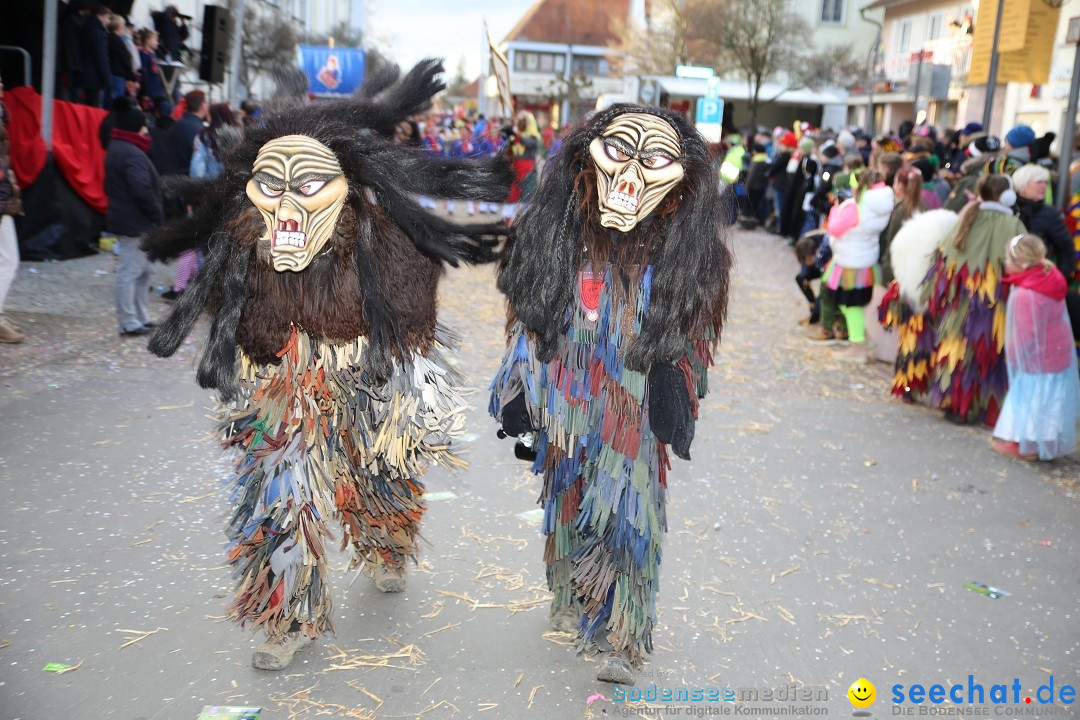 Grosser Narrensprung: Langenargen am Bodensee, 19.01.2020