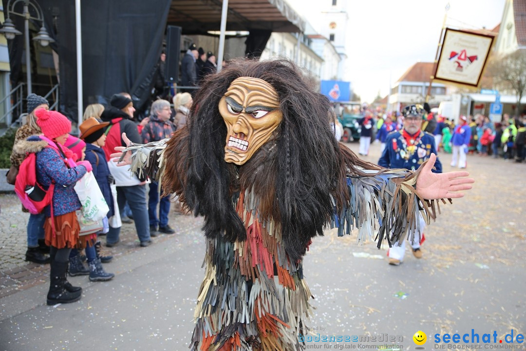 Grosser Narrensprung: Langenargen am Bodensee, 19.01.2020