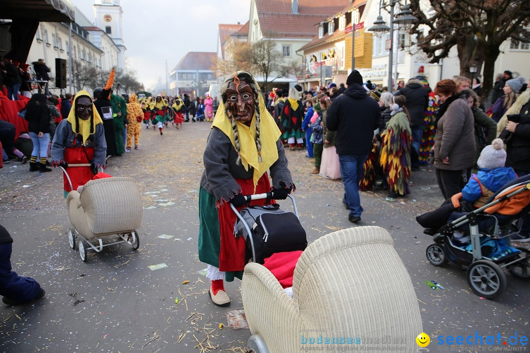 Grosser Narrensprung: Langenargen am Bodensee, 19.01.2020