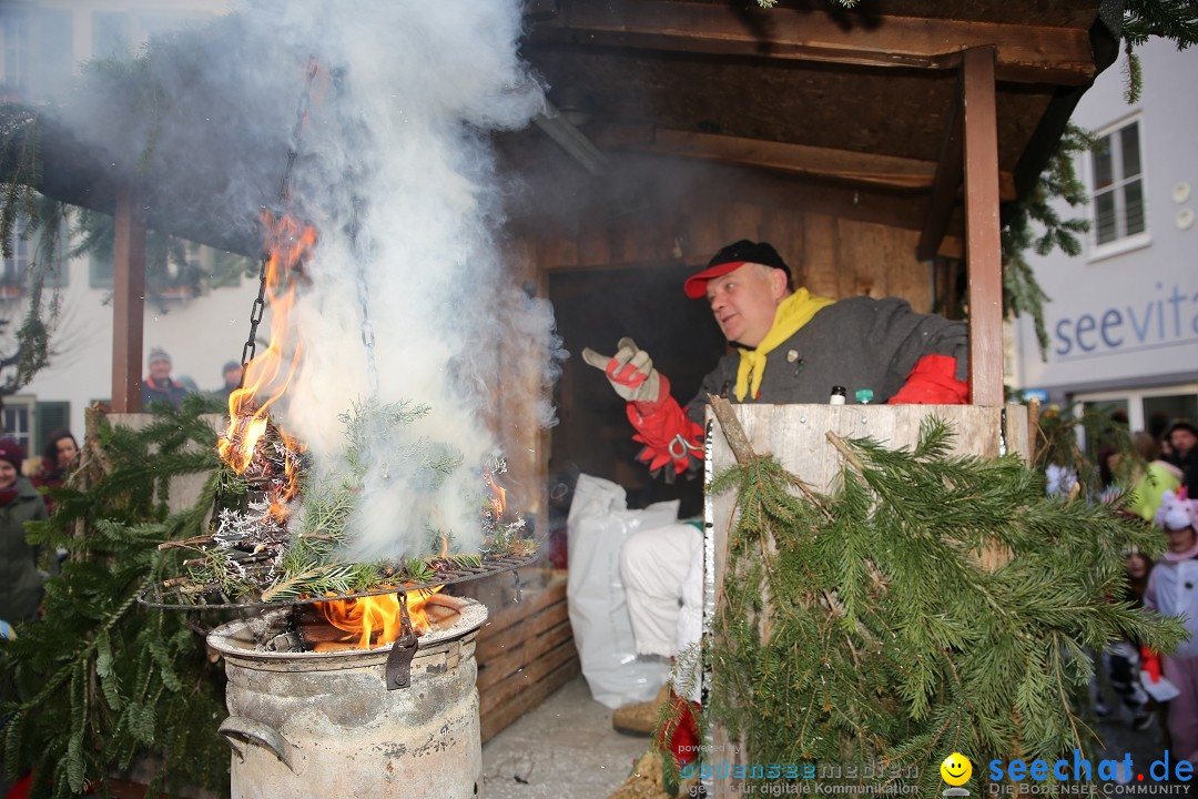 Grosser Narrensprung: Langenargen am Bodensee, 19.01.2020