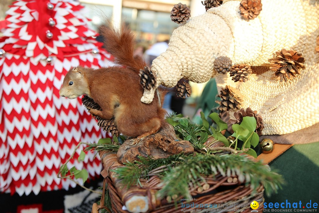 Grosser Narrensprung: Langenargen am Bodensee, 19.01.2020