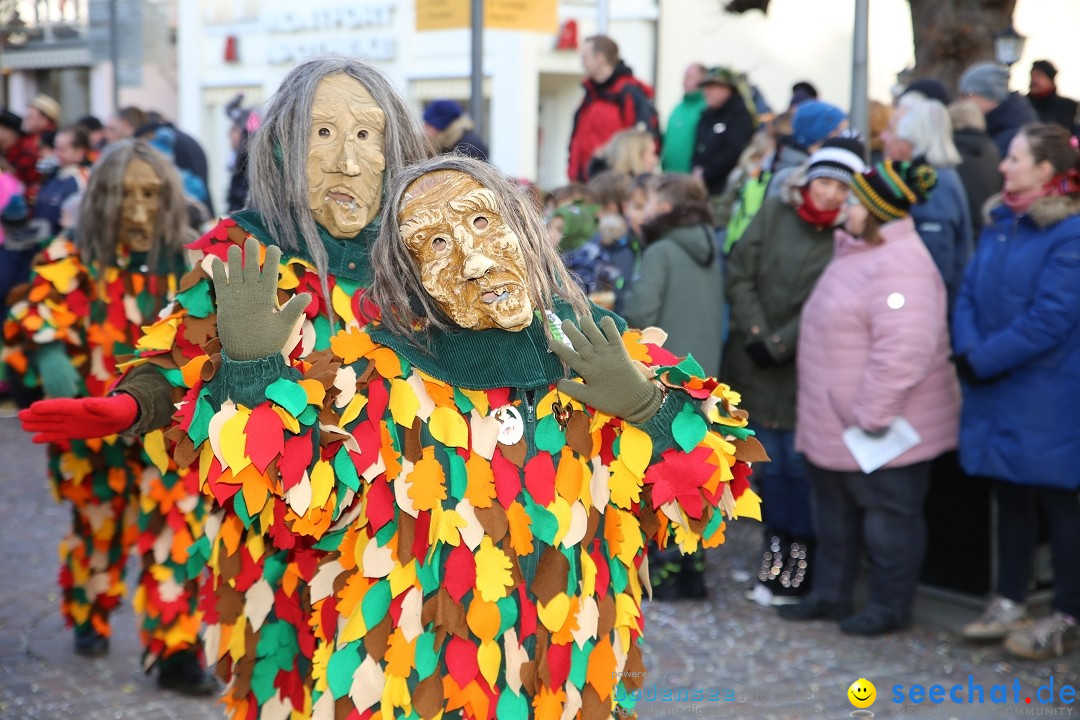 Grosser Narrensprung: Langenargen am Bodensee, 19.01.2020