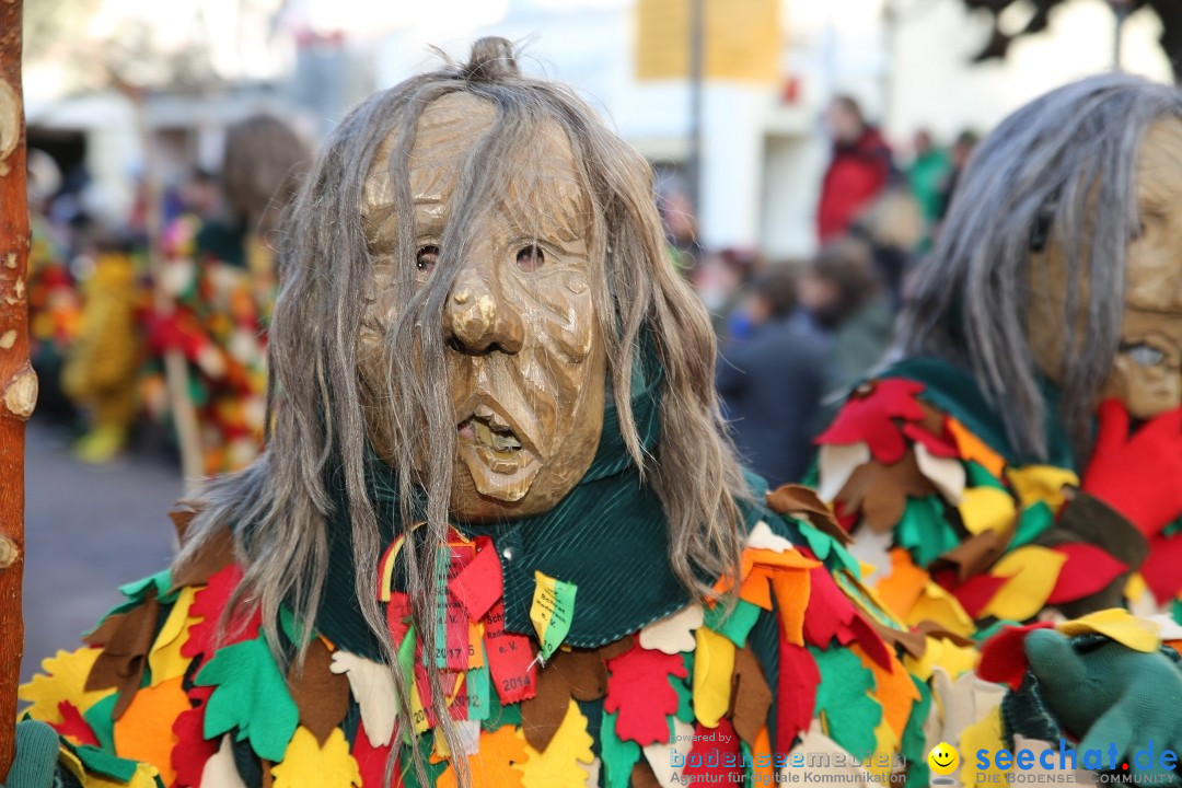 Grosser Narrensprung: Langenargen am Bodensee, 19.01.2020