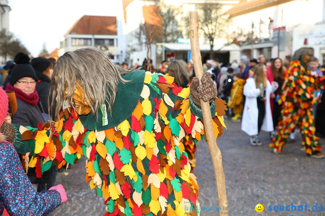 Grosser Narrensprung: Langenargen am Bodensee, 19.01.2020