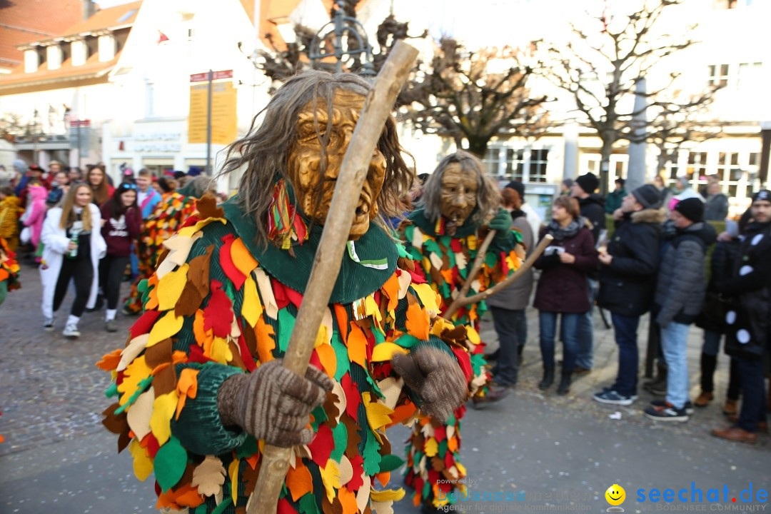 Grosser Narrensprung: Langenargen am Bodensee, 19.01.2020