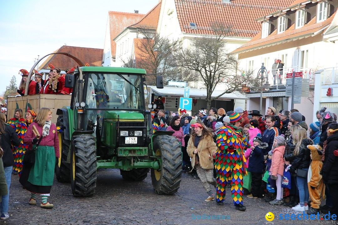 Grosser Narrensprung: Langenargen am Bodensee, 19.01.2020