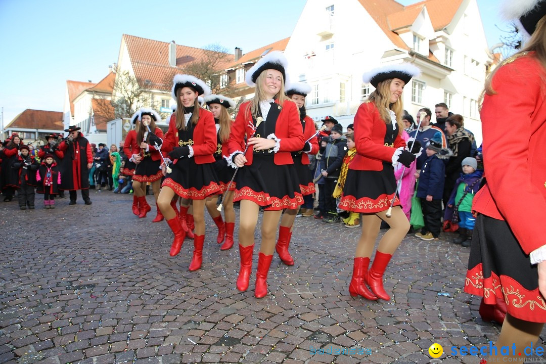 Grosser Narrensprung: Langenargen am Bodensee, 19.01.2020