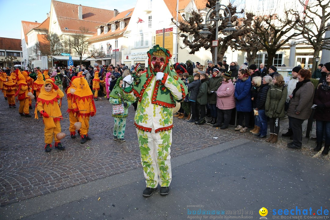 Grosser Narrensprung: Langenargen am Bodensee, 19.01.2020