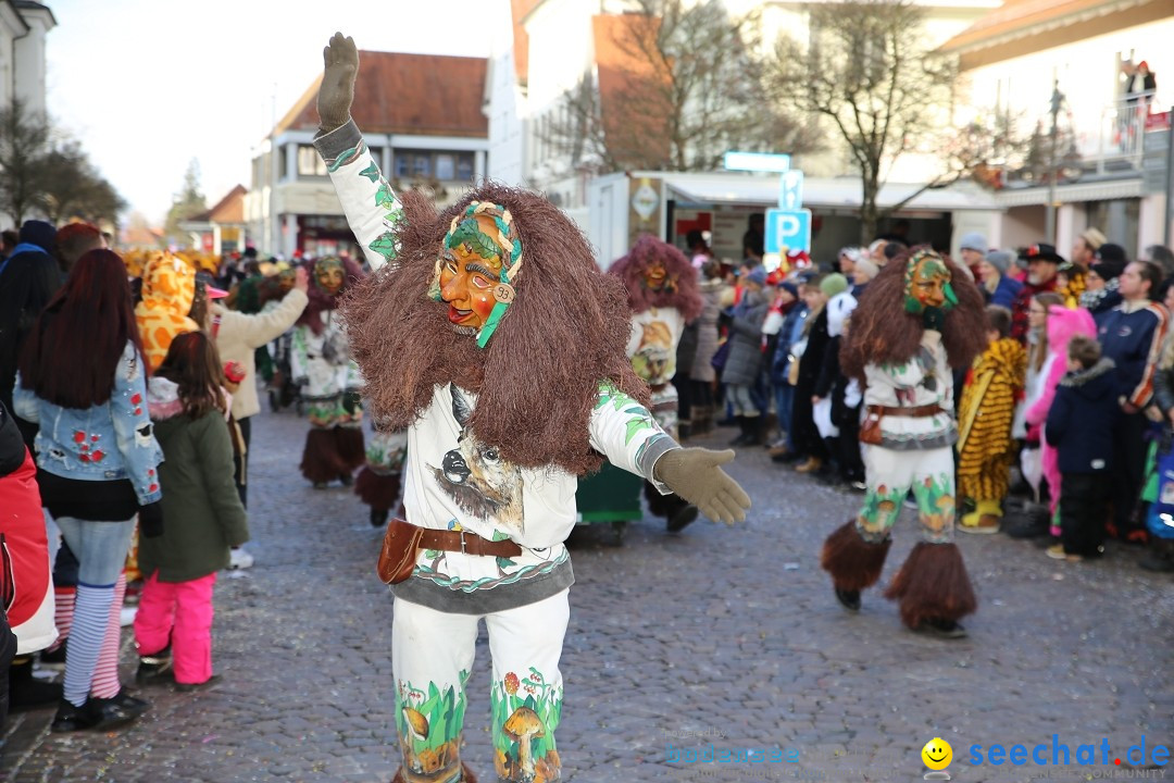 Grosser Narrensprung: Langenargen am Bodensee, 19.01.2020