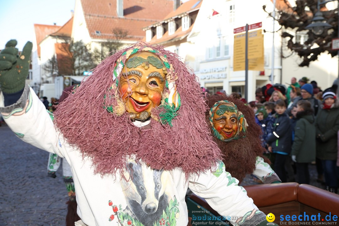 Grosser Narrensprung: Langenargen am Bodensee, 19.01.2020