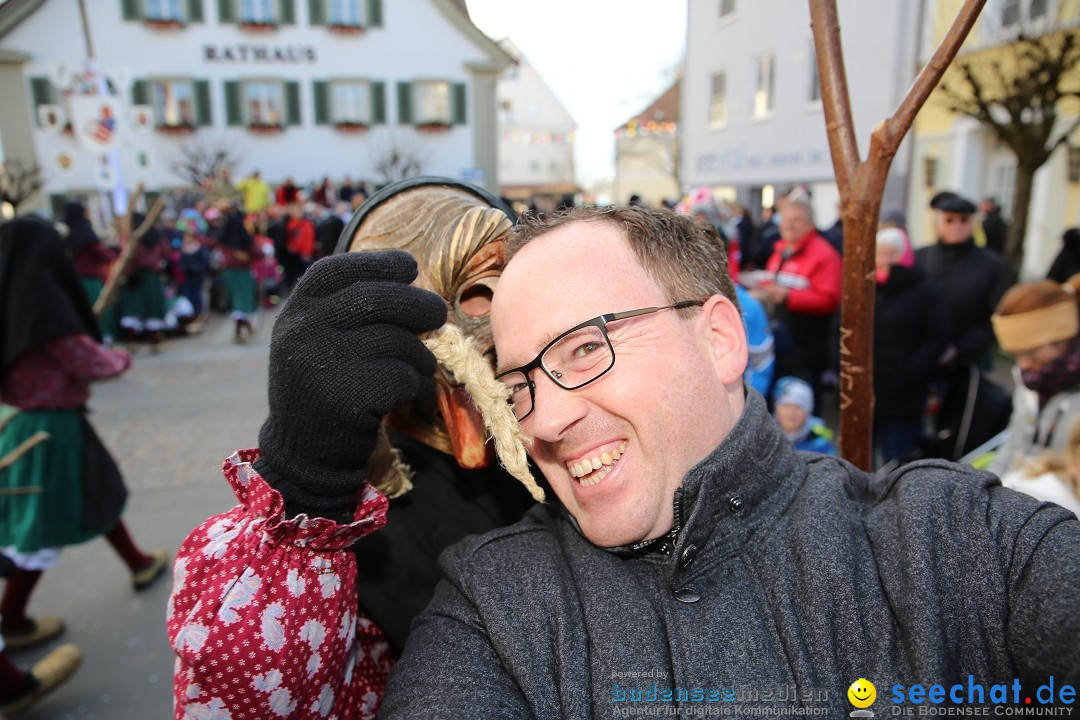 Grosser Narrensprung: Langenargen am Bodensee, 19.01.2020