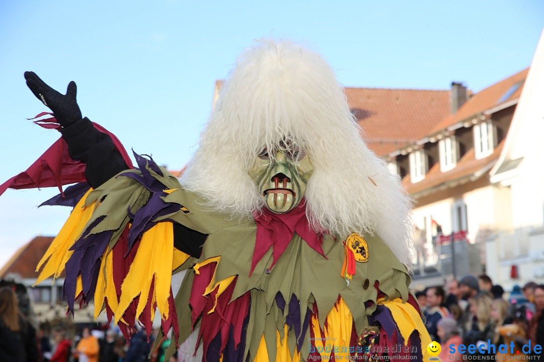 Grosser Narrensprung: Langenargen am Bodensee, 19.01.2020