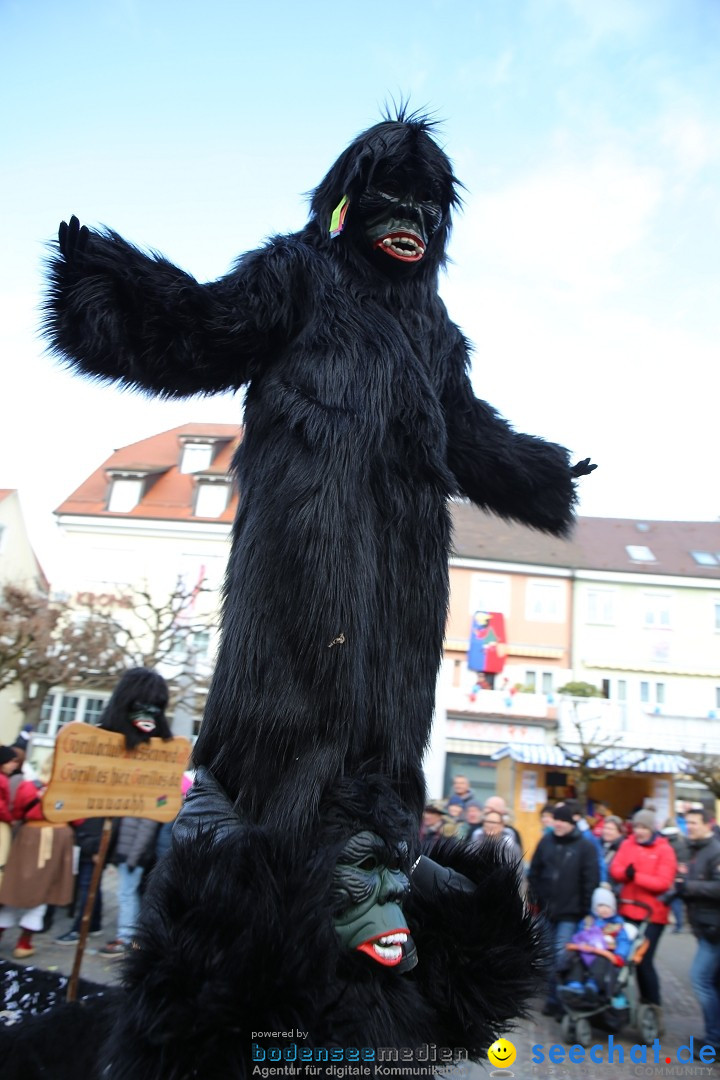 Grosser Narrensprung: Langenargen am Bodensee, 19.01.2020