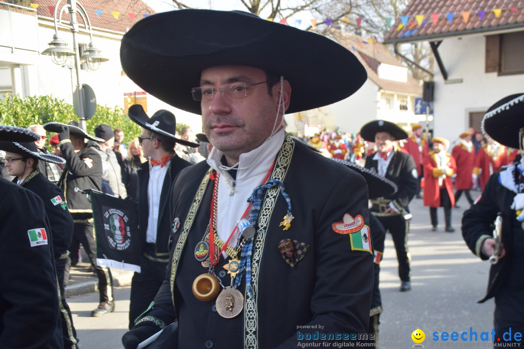 Grosser Narrensprung: Langenargen am Bodensee, 19.01.2020