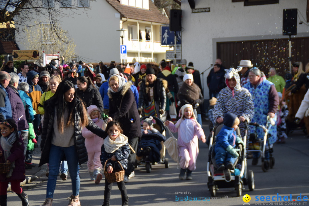 Grosser Narrensprung: Langenargen am Bodensee, 19.01.2020