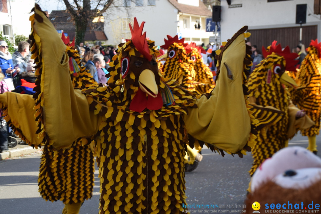 Grosser Narrensprung: Langenargen am Bodensee, 19.01.2020